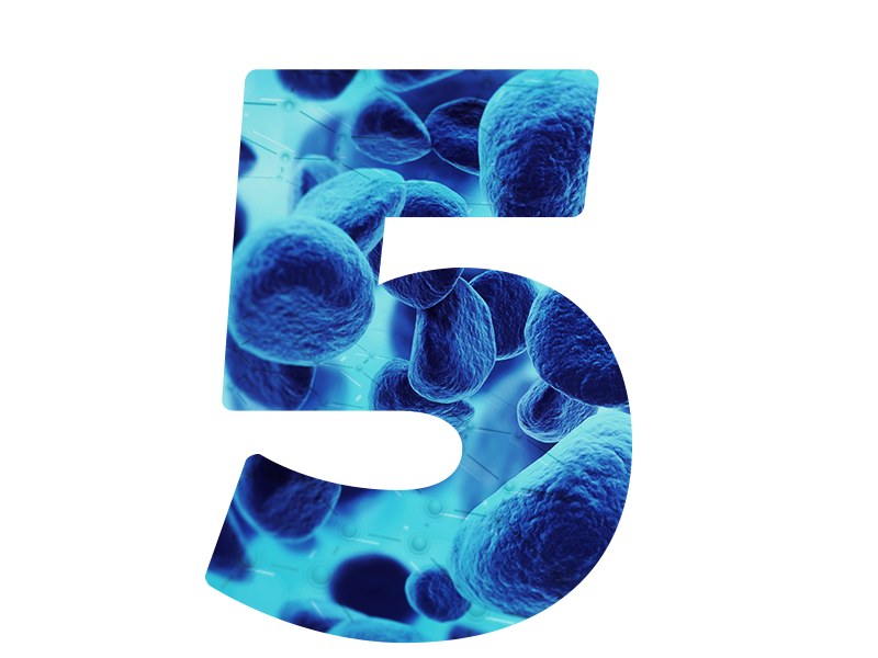 Mappatura Genetica del Microbiota