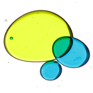 Cellule
