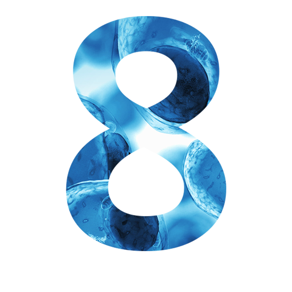 8