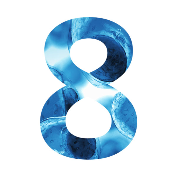 8