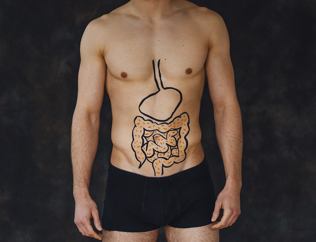 microbiota-vita365