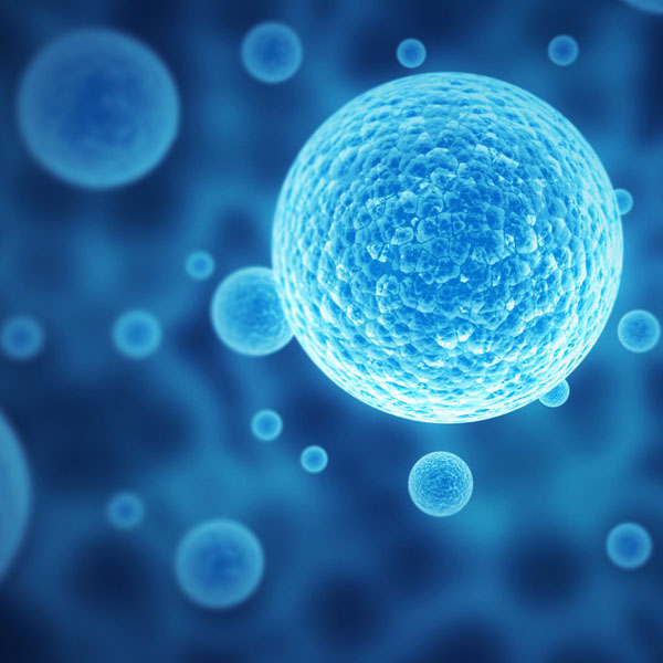 vita365-autoimmunita