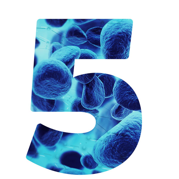 vita365-mappatura-del-microbiota