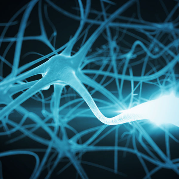 vita365-prevenzione-malattie-neurodegenerative