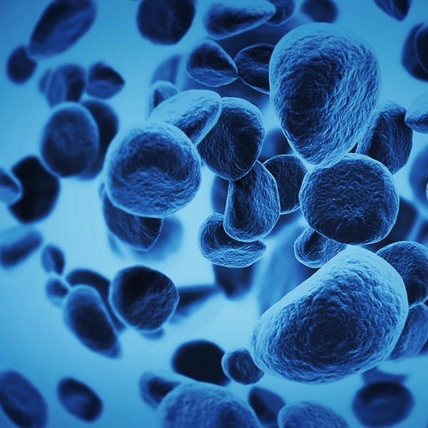 vita365-prevenzione-oncologica
