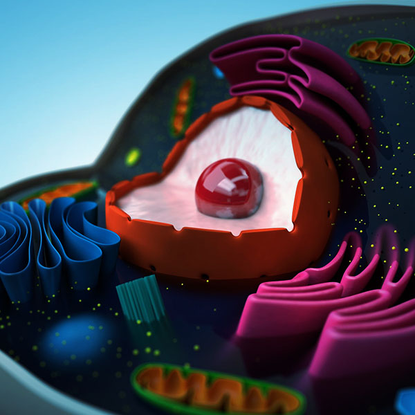 vita365-sindrome-metabolica