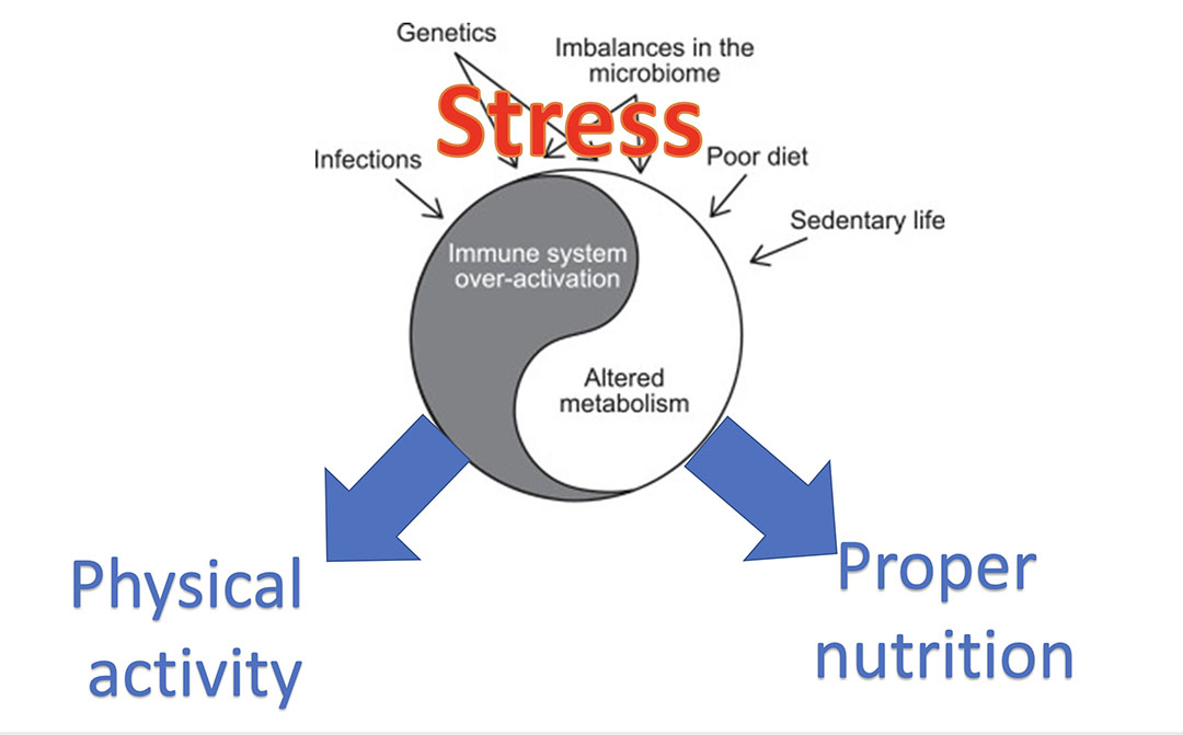 stress-sport-nutrizione-master-la-sapienza-roma