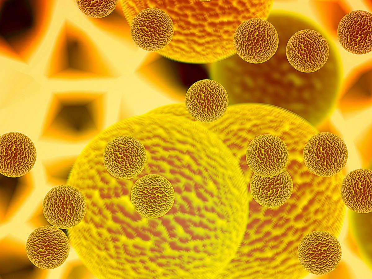 prevenzione oncologica vita365